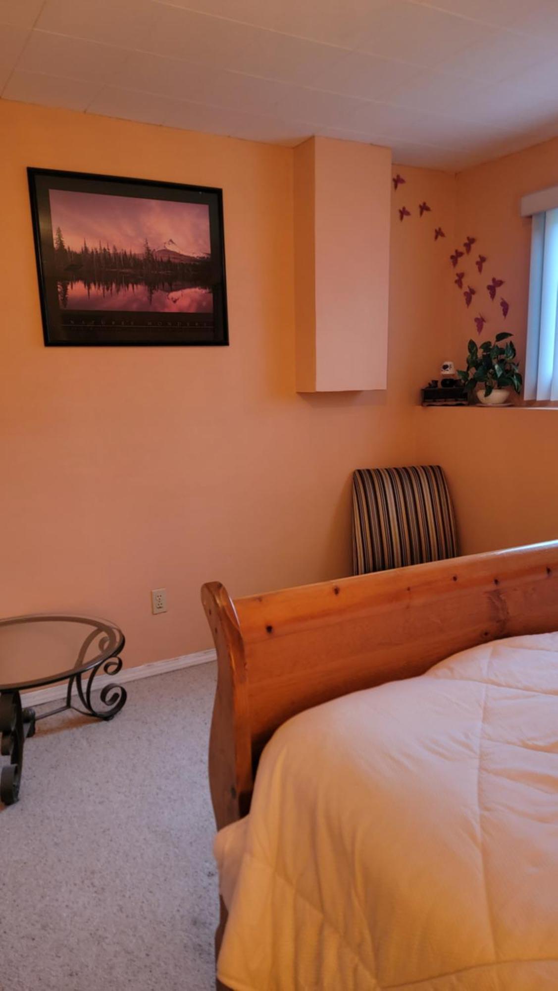 Charming - 2 Bedrooms Basemnt, 1 Full Bath & Rec Room Kamloops Buitenkant foto